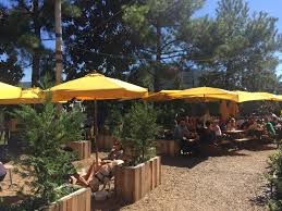 Ladybird Atlanta Great Beer Garden Beer Garden Shade Garden Backyard