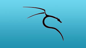 How To Install Kali Linux On Chromebook