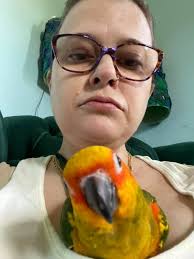 I'm curious to see how many have seen either of these or both. ❤️ The Nest  or 😯 Society