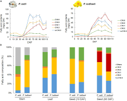 F he is a singer. Frontiers Interspecific Variation In The Unsaturation Level Of Seed Oils Were Associated With The Expression Pattern Shifts Of Duplicated Desaturase Genes And The Potential Role Of Other Regulatory Genes Plant Science