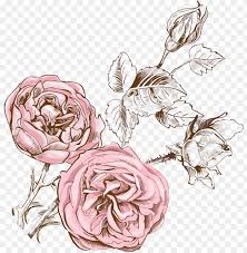 Svg Freeuse Stock Blackberry Drawing Watercolor Qualitas Candles Beeswax Rose Scented Candle Png Image With Transparent Background Toppng
