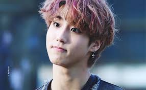 Ещё по фэндому stray kids. Han Stray Kids Members Profile Vote