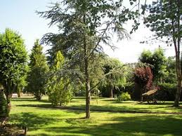 Vente Proprietes Avec Gites Et Chambres D Hotes En Bourgogne Chambre D Hote Saone Et Loire Hotes