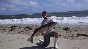 Hunting And Fishing Cape Cod Canal Striper Fishing