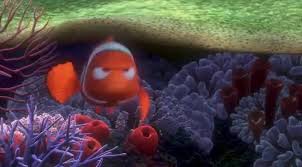 You're gonna get stuck out there then i'll get you before another fish does. Yarn Lf You Put One Fin On That Boat Finding Nemo Video Clips By Quotes D2fd51c1 ç´—