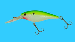 berkley flicker shad size 5