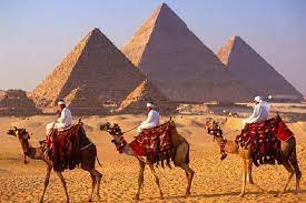 All transfers by a modern air conditioned vehicle horse or camel riding expert tour guide service. Camel Ride Best Things To Do In Giza