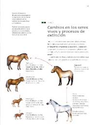 ¿cómo es la corteza terrestre? Tema 1 Cambios En Los Seres Vivos Y Procesos De Extincion Ayuda Para Tu Tarea De Ciencias Naturales Sep Primaria Sexto Respuestas Y Explicaciones