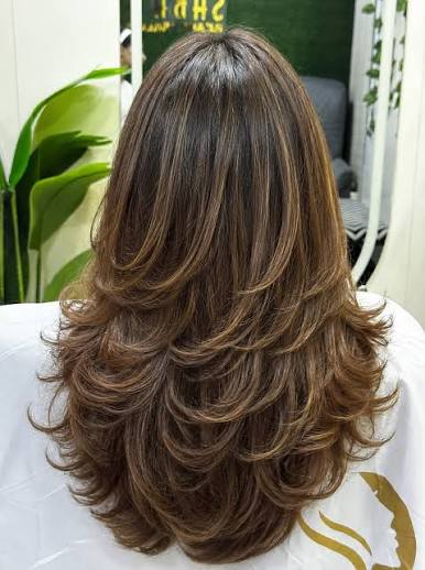 Hair Transformation