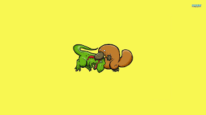 1920 x 1080, 57 kb. Platypus Wallpapers Top Free Platypus Backgrounds Wallpaperaccess