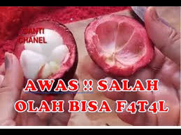 Secara umum, kandungan kimia yang paling banyak terdapat dalam kulit manggis adalah senyawa fenolik, xanthone, antosianin, flavonoid, dan tannin (dungir et al., 2012) dalam (rezki et al., 2018). Awas Bisa F4t4l Cara Mengolah Kulit Manggis Untuk Obat Youtube