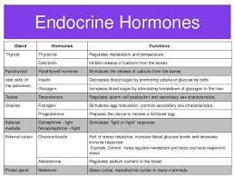Pin By Marina Reddekopp On Chemistry And Humans Endocrine System Hormones Endocrine System Nursing Endocrine System