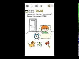 Gosok tubuh anjing untuk membelai dan menghiburnya. Kunci Jawaban Brain Out Level 42 Youtube