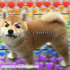 Pin By Yoel On Animals Cute Memes Cute Love Memes Love You Meme