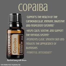 Pin On Essential Oils Self Care