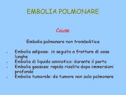 Pulmonary embolism is often caused by blood clots that travel to the lungs from the legs. Apparato Respiratorio Cenni Di Anatomia Fisiologia Patologie Respiratorie