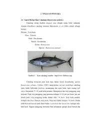 Aug 08, 2021 · baca juga artikel yang mungkin berhubungan : Ikan Cakalang Pdf