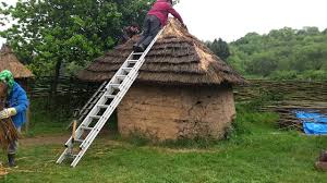 How to build a roof. Stripping Thatch Of A House Roof Youtube