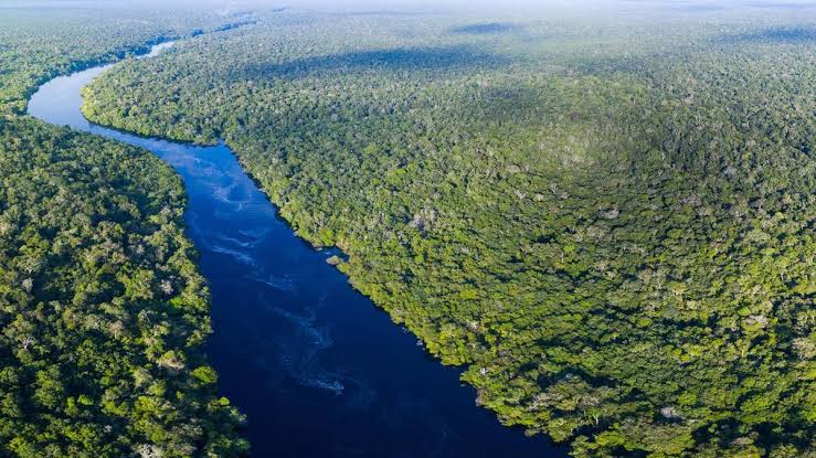 Mga resulta ng larawan para sa Brazil Amazon Tropical Rainforest"