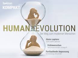 Zugleich wird das hirn anders geprägt. Spektrum Kompakt Humanevolution Spektrum Der Wissenschaft