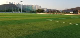 5.17~31 기간 중 고척스카이돔 내 실외체육시설(축구장/풋살구장)의 이용 및 예약 접수 관련 공지입니다. íŒŒì¼ ê¸°í¥í˜¸ìˆ˜ë‚´ ì¶•êµ¬ìž¥ Jpg ìœ„í‚¤ë°±ê³¼ ìš°ë¦¬ ëª¨ë'ì˜ ë°±ê³¼ì‚¬ì „