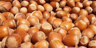 Lll Cultivo Del Avellano Europeo Sistemas De Plantacion Y Consejos Sobre Su Cuidado Fertilizacion Riego Y Otras C Seeds Healthy Deserts Medicinal Plants