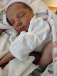 Florida dad, Brandon Marteliz, fighting for custody of daughter put up for  adoption by mother