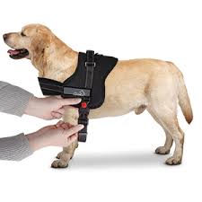 Lifepul No Pull Dog Vest Harness Dog Body Padded Vest Comfort Control For Large Dogs In Training Walking No More Pulling Tugging Or Choking