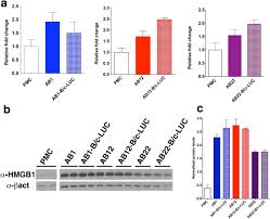 Check spelling or type a new query. Human Malignant Mesothelioma Is Recapitulated In Immunocompetent Balb C Mice Injected With Murine Ab Cells Scientific Reports
