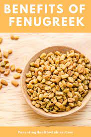 16 Health Benefits Of Fenugreek For Children And Nursing Woman Fenugreek Benefits Fenugreek Methi Seeds