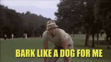 Find gifs with the latest and newest hashtags! Caddyshack Gifs Tenor