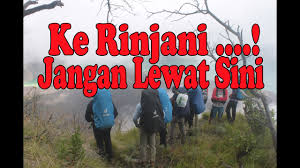 Untuk masuk di lawu park saja tanpa menginap, tarifnya adalah rp 15.000. Cilegon Adventure Team Cat Buyut Arman Cilegon 2021