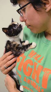 William Akel's Instagram, Twitter & Facebook