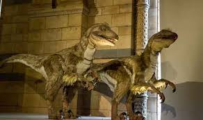 Londres, musée d'histoire naturelle, rampe de sculpture en terre. Visiter Londres En Famille Tops A Faire Avec Enfants