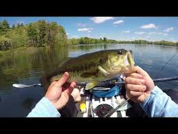 Kbf Big Bass Fishing In My Kayak Neponset Reservoir