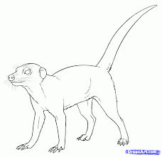 Drawings Meerkats Google Search Meerkat Drawings Animal Stencil Learn how to draw easy simply by following the steps outlined in our video lessons. meerkat drawings