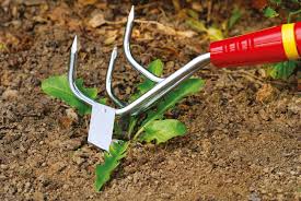 Interlocken Mini Cultiweeder With Handle Garden Tools Best Garden Tools Garden Hand Tools