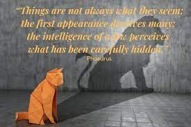 Best Things Aren T Always What They Seem Quotes 2021 Pbc
