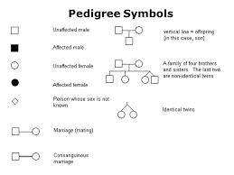 Assignment Pedigrees Ppt Download