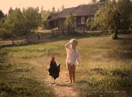 Mother Takes More Magical Photos Of Her Kids With Animals On Her Farm Farm Photography Magical Pictures Children Photography