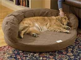 Additionally, larger dogs generally need thicker beds that can support their extra weight and accommodate those long limbs. Dog Beds For Large Dogs Big Dog Beds Dog Bed Orthopedic Dog Bed