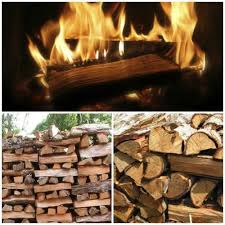 The Best Firewood Chart To Burn Chop And Store Modern