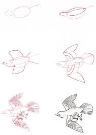 How To Draw A Bird Step By Step Easy With Pictures Aprender A Dibujar Animales Dibujos De Animales Dibujos