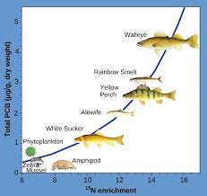 Energy Flow Through Ecosystems Concepts Of Biology