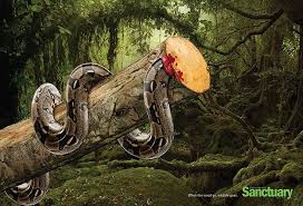 Shocking Effects Of Deforestation Exposed In Brutal Print Ads Wildlife Prints Creative Advertising Deforestation