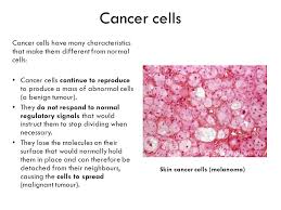 These extra cells may form a mass of tissue, called a tumor. Cancer Higher Human Biology Unit 1 Section 1 E Ppt Download