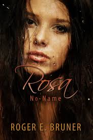 Amazon.com: Roger Bruner: books, biography, latest update