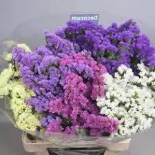 Many of these dried flowers have been preserved in england by a small scale british grower. 35 Statice Flower Ideas