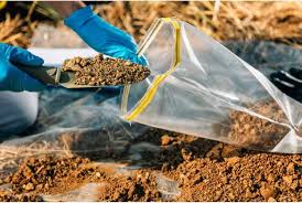 Check spelling or type a new query. Should You Test Soil Before Planting A Garden Simplify Gardening