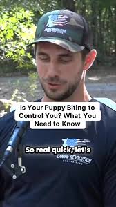 Not all puppy biting is innocent playful behavior. Some puppies bite to  control you. This is different from normal puppy biting where they're  teething, seeking attention, or figuring things out. These ...